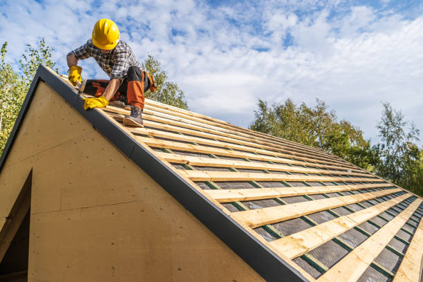 Best Roof Gutter Cleaning  in Dumont, NJ