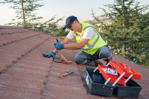 Best Roof Gutter Cleaning  in Dumont, NJ